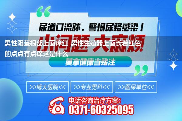 男性阴茎根部上面痒红_男性生殖器上面长着红色的点点有点痒这是什么