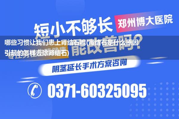 哪些习惯让我们患上肾结石呢(肾结石是什么原因引起的怎样去除肾结石)